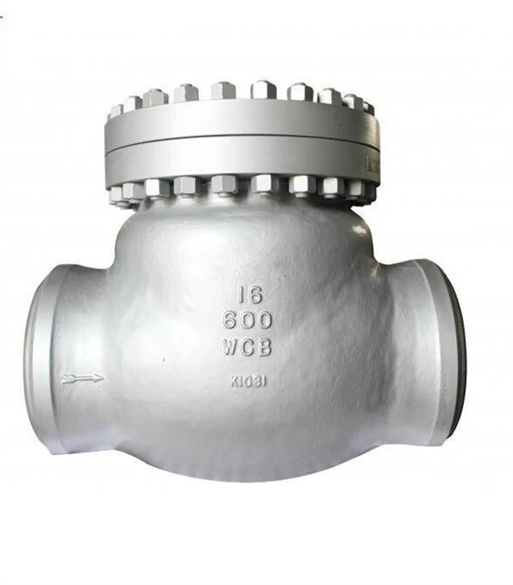 API 6D BW Check Valve